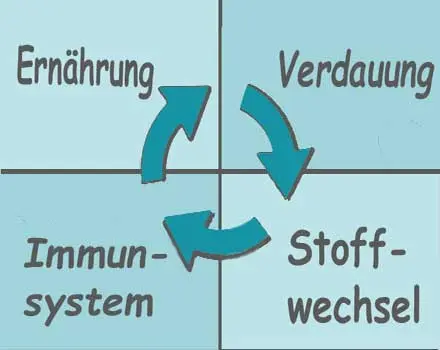 Ernährungskreislauf