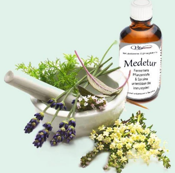 Heilkräuter werden für Medetur mazeriert.