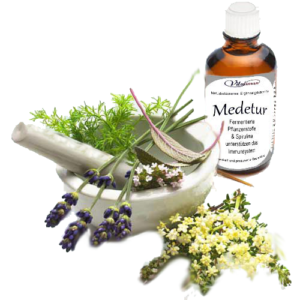 Heilkräuter werden für Medetur mazeriert.